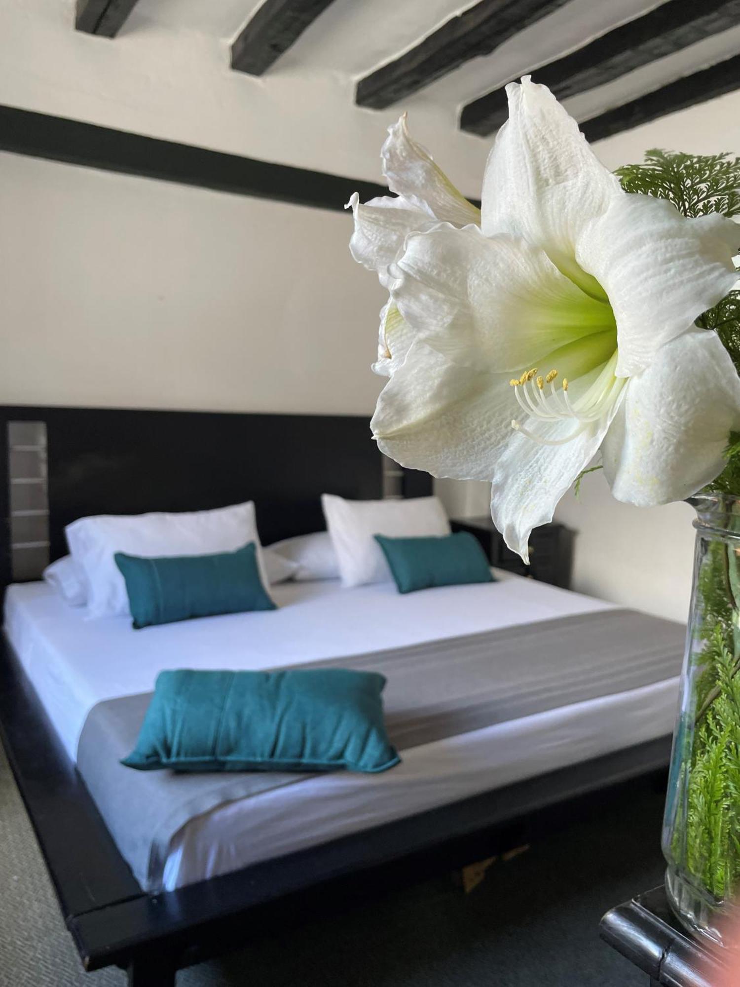Hotel Premium Real Medellin Ngoại thất bức ảnh